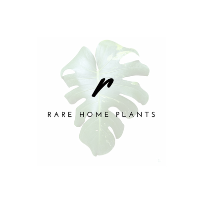 Rare Home Plants 