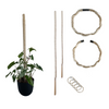 Bamboo Plant Pole with Mold Resistant Natural Fiber - The best plant pole for your rare monstera - Rare Home Plants