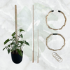 Bamboo Plant Pole with Mold Resistant Natural Fiber - The best plant pole for your rare monstera