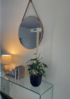 Bamboo Plant Pole with Mold Resistant Natural Fiber - The best plant pole for your rare monstera - Rare Home Plants