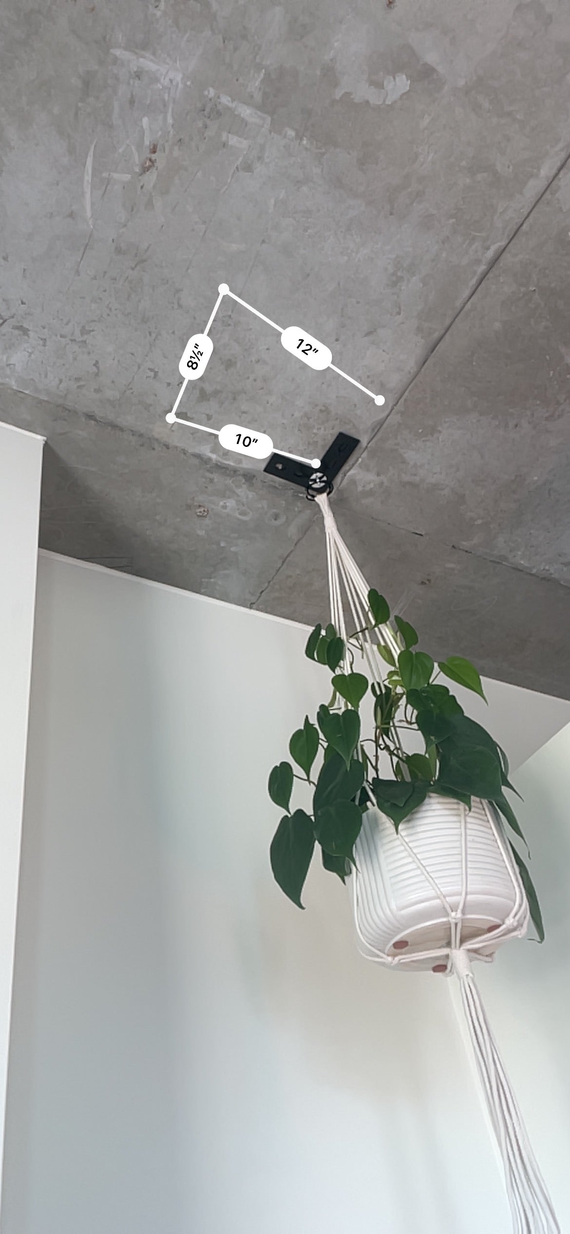 Adhesive hooks for hanging plants hotsell