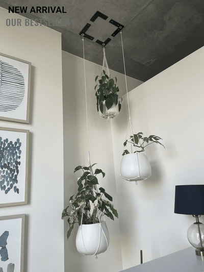 Plant Hanging Kit • ( holds 10lbs each • magnets tested at 60lbs ) Self Adhesive to most flat surfaces •  Easy release magnet hooks for watering