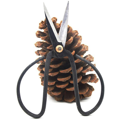 Trimming Scissor - Rare Home Plants
