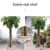 Global Version Flower Monitor Garden Plants Gross Water Soil Nutrient - Rare Home Plants
