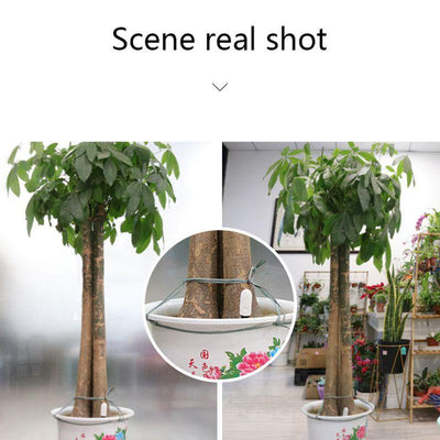 Global Version Flower Monitor Garden Plants Gross Water Soil Nutrient - Rare Home Plants