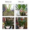 Global Version Flower Monitor Garden Plants Gross Water Soil Nutrient - Rare Home Plants