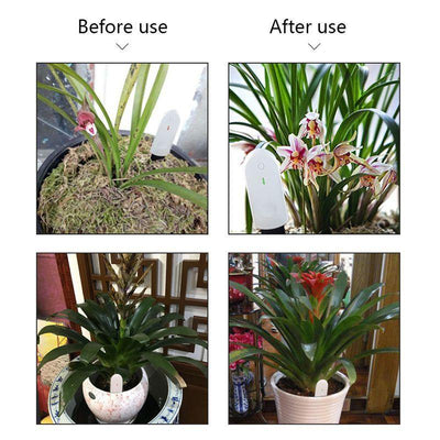 Global Version Flower Monitor Garden Plants Gross Water Soil Nutrient - Rare Home Plants