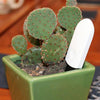Global Version Flower Monitor Garden Plants Gross Water Soil Nutrient - Rare Home Plants