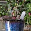 Global Version Flower Monitor Garden Plants Gross Water Soil Nutrient - Rare Home Plants