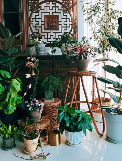 Rattan discount plant stool